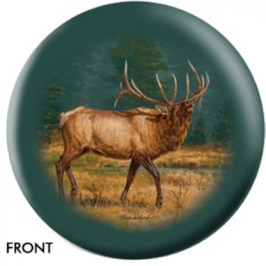 ELK #