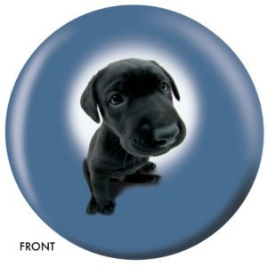 LABRADOR RETRIEVER #